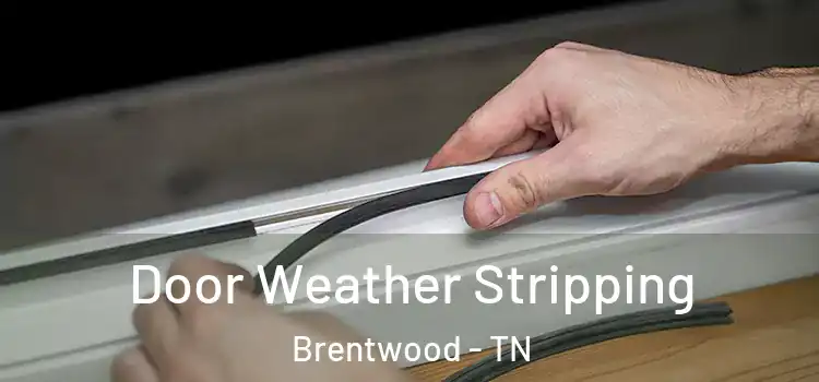 Door Weather Stripping Brentwood - TN