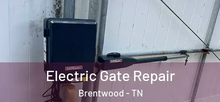 Electric Gate Repair Brentwood - TN