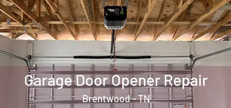  Garage Door Opener Repair Brentwood - TN