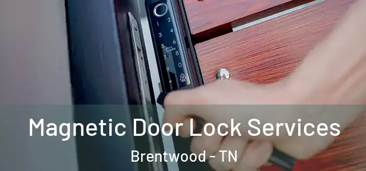 Magnetic Door Lock Services Brentwood - TN